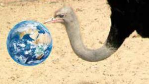 Histories of a Future Environmental Catastrophe