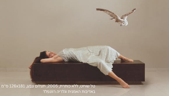 טל שוחט, ללא כותרת, 2005, תצלום צבע, 126x181 ס"מ  באדיבות האמנית וגלריה רוזנפל