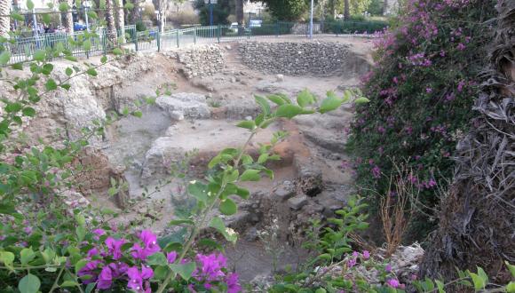 סיור ביפו במסגרת הקורס גאוגרפיה היסטורית